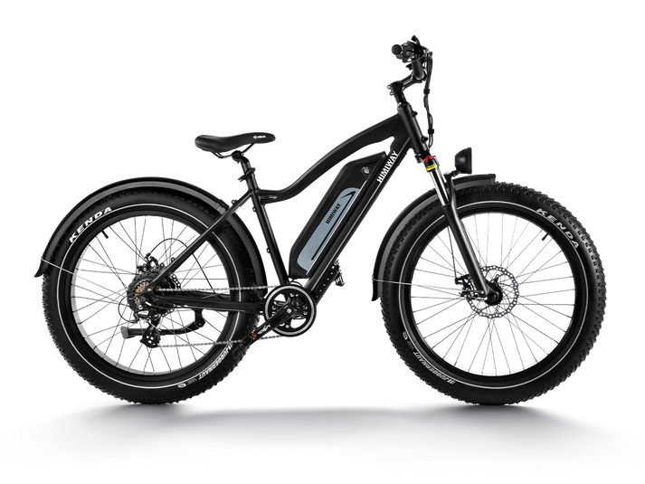 Himiway_D3_Cruiser_Long_Range_Fat_Tire_Electric_Bike_1